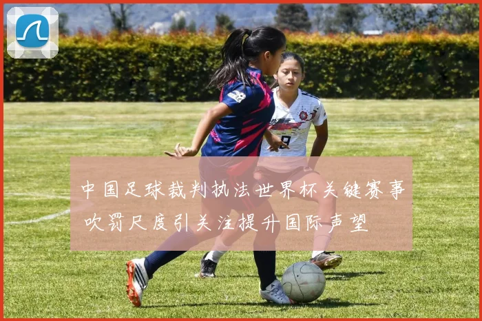 中国足球裁判执法世界杯关键赛事 吹罚尺度引关注提升国际声望